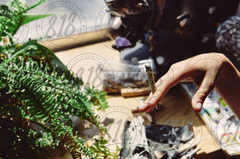 Best Sativa Strains for Energy and Creativity