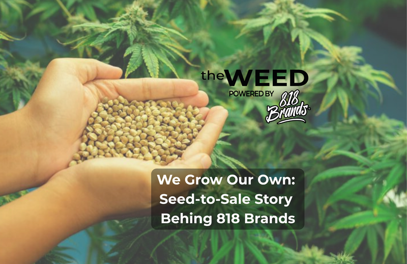 We Grow Our Own: The Seed-to-Sale Story Behind 818 Brands