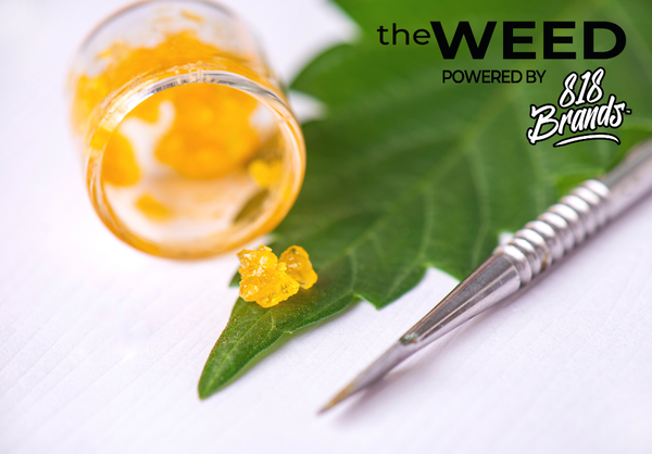 What Is Live Resin and Why It Has Become So Popular