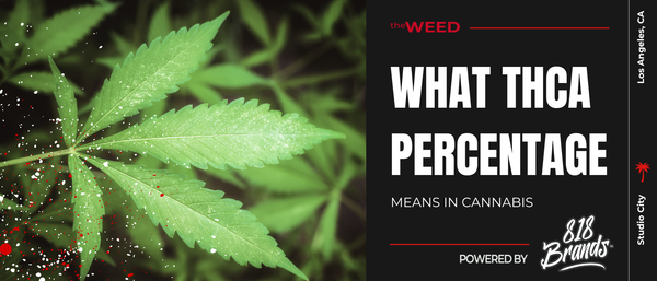 What THC Percentage Means in Cannabis