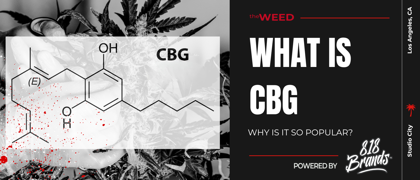 What Is CBG and Why Is It So Popular?