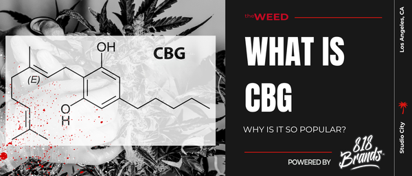 What Is CBG and Why Is It So Popular?