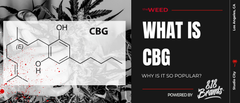 What Is CBG and Why Is It So Popular?
