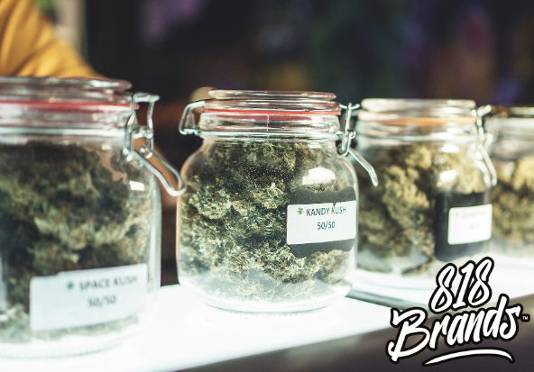 What Are Terpenes in Cannabis and Why They Matter