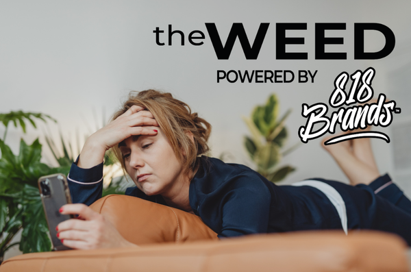 Best Cannabis Strains for Relaxation and Stress Relief