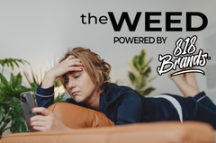 Best Cannabis Strains for Relaxation and Stress Relief