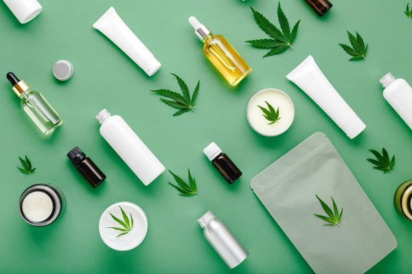 Wellness Wednesdays at 818 Brands: Papa and Barkley