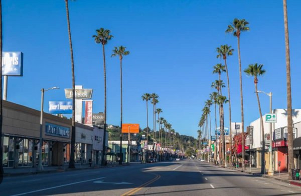 Why Ventura Boulevard Is a Cannabis Destination in Los Angeles