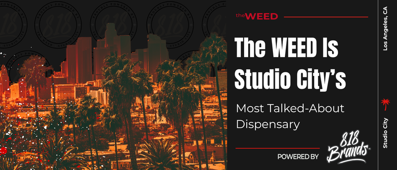 Why The WEED Is Studio City’s Most Talked-About Dispensary