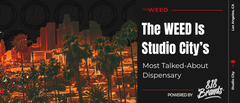 Why The WEED Is Studio City’s Most Talked-About Dispensary