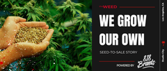 We Grow Our Own: The Seed-to-Sale Story Behind 818 Brands