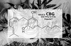What Is CBG and Why Is It So Popular?